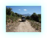 SardKors2010- (91)-web1.jpg